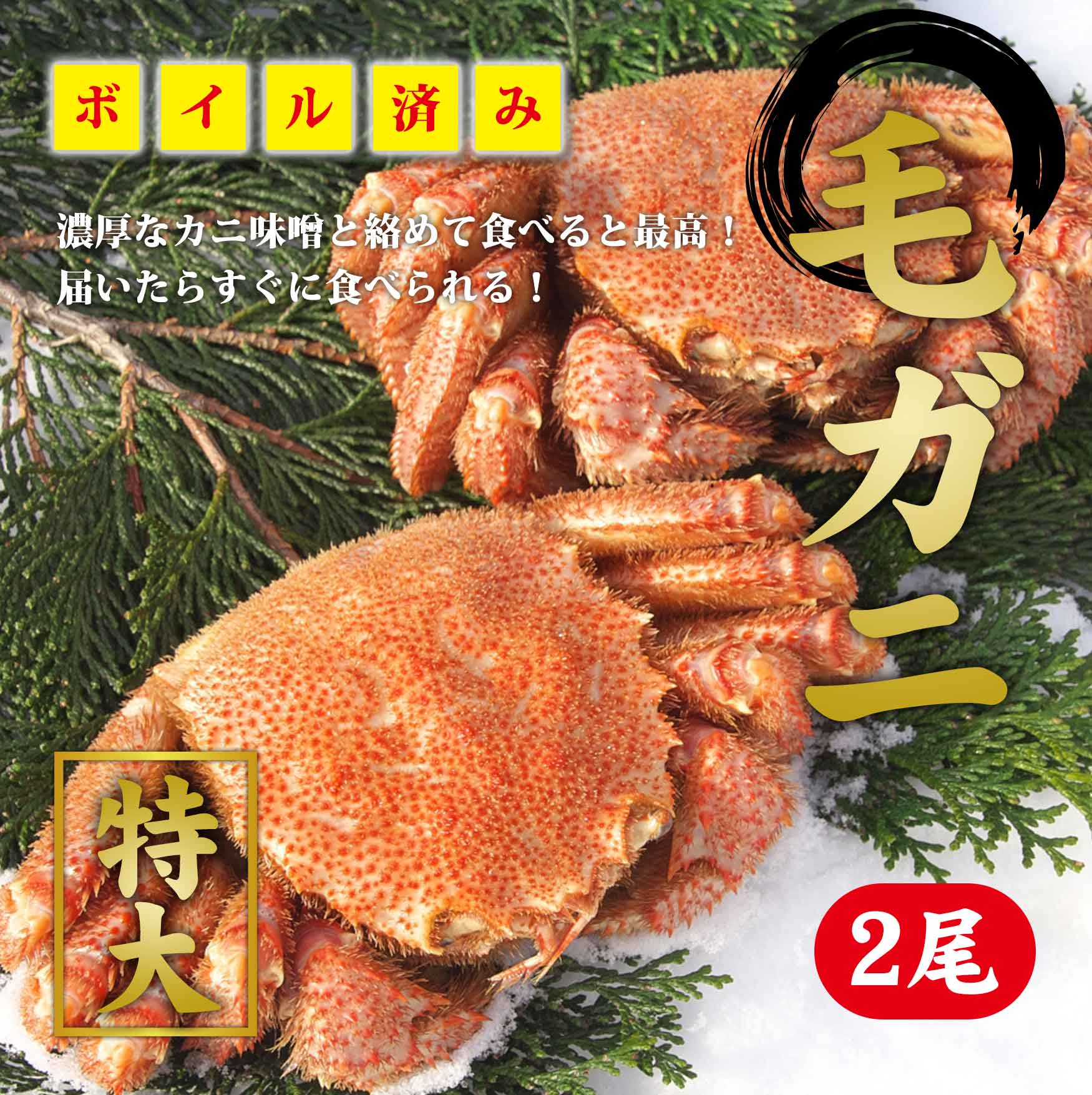 ボイル毛ガニ3.2kg 詰め（冷凍）8尾入り 北海道 釧路 ふるさと納税 かに 蟹 魚介類 海産物 F4F-0453：北海道釧路市 -  魚介類・水産加工品