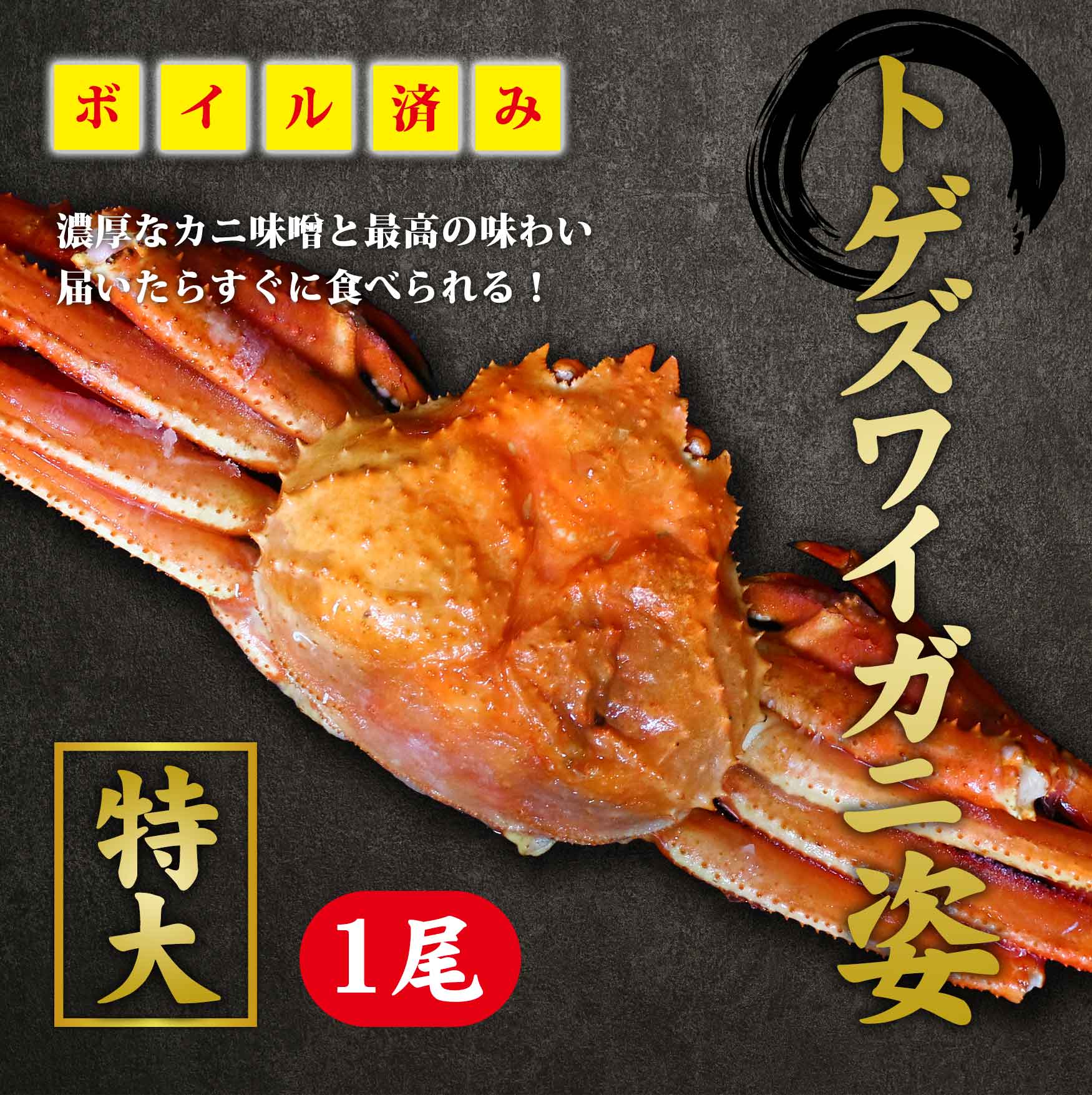 ズワイ蟹 トゲズワイガニ 1.5kg - 魚介類(加工食品)